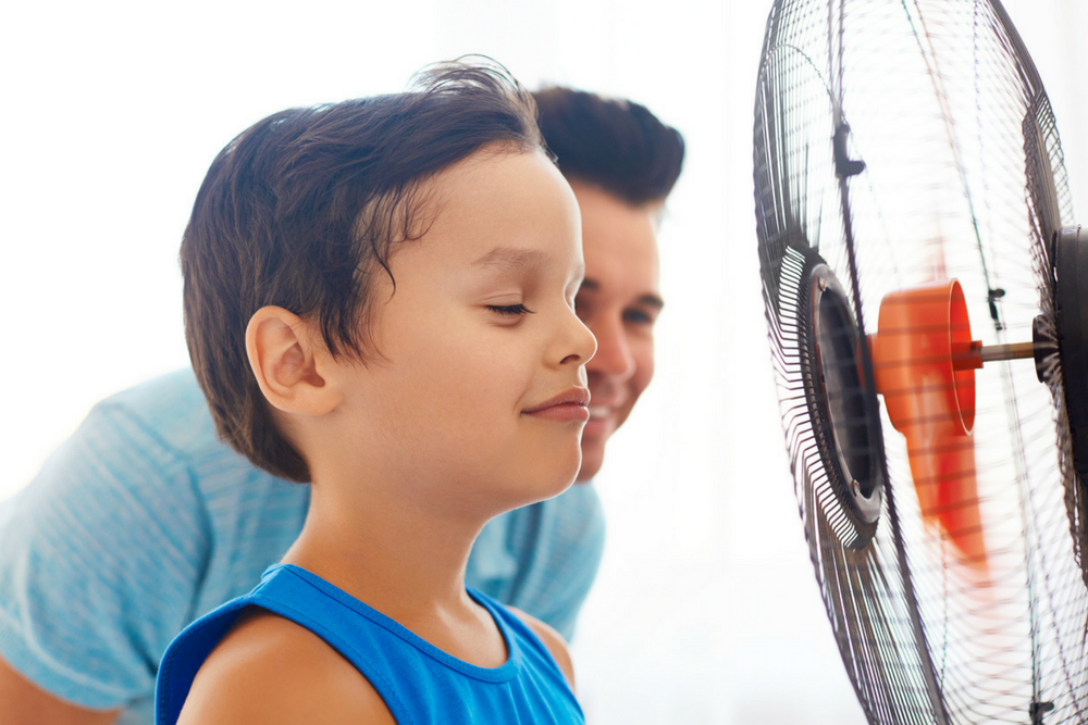 New to Florida? Don't Trifle with the Heat!