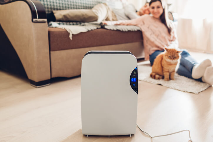 How To Improve Indoor Air Quality In Five Easy Steps