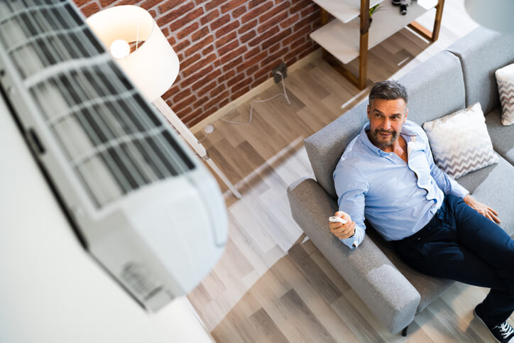 Should You Choose A Room Or Whole House Air Purifier?