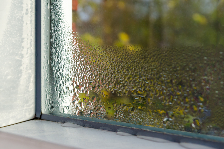Lower Your Home's Indoor Humidity With These Tips